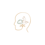 Logo Cynestémie transparent